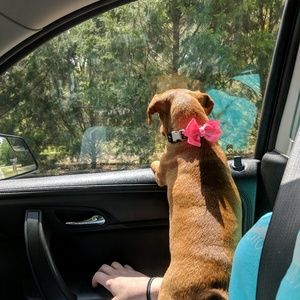 Meet your Posher, Tiffany